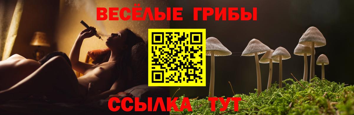 Ижевск  как найти наркотики  Вход с VPN  Псилоцибиновые грибы мицелий 
